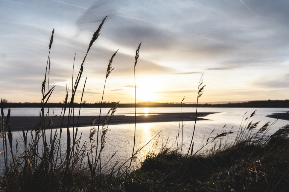 View: Wetland Wakeup